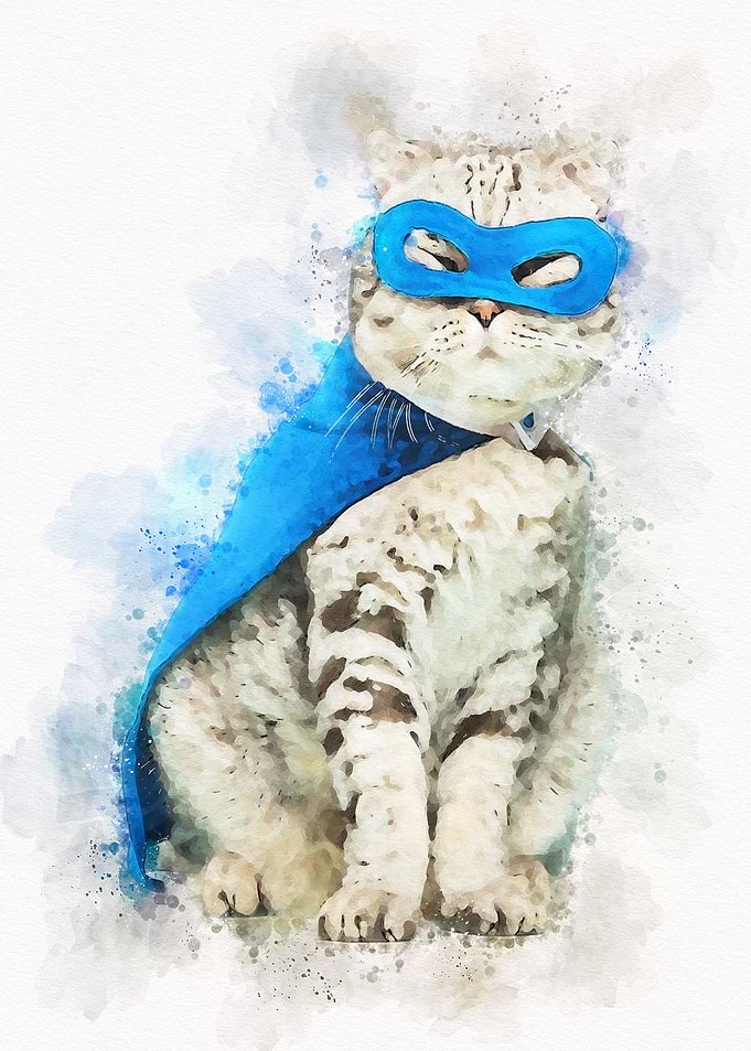 Cute Cat Watercolor