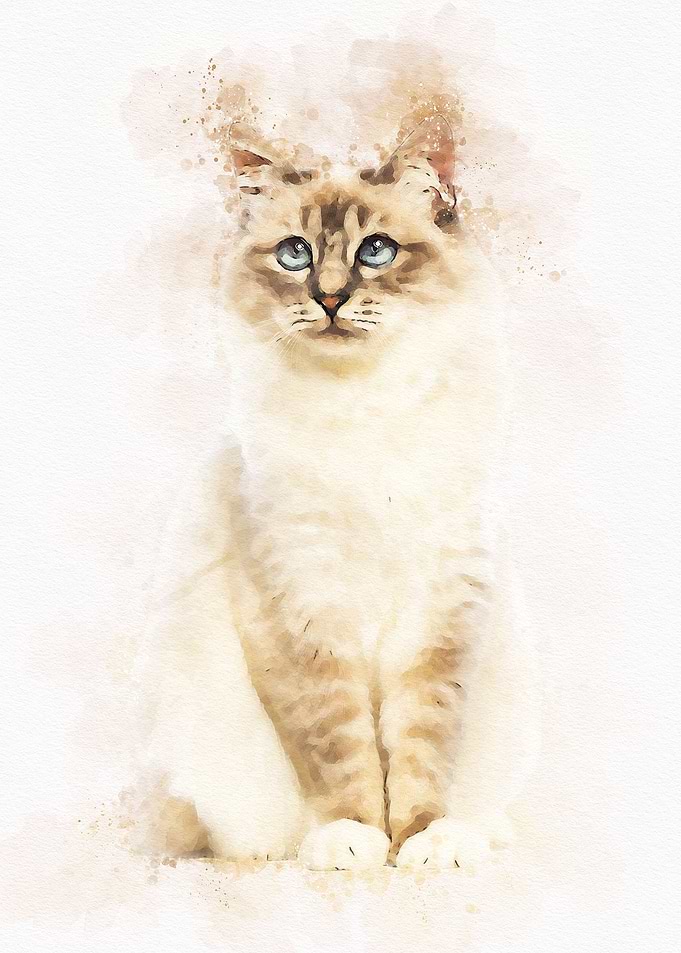 Cute Cat Watercolor