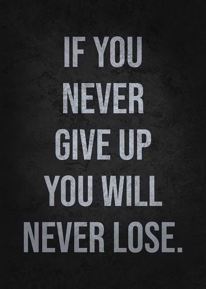 Never Give Up Never Lose