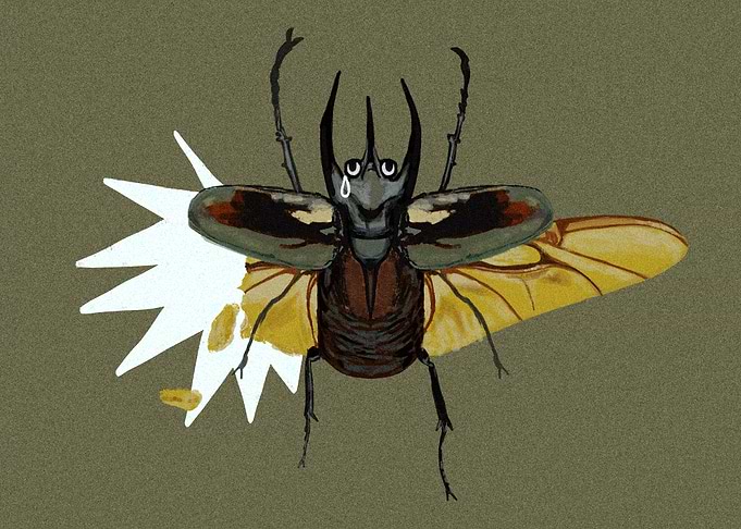 Sad beetle