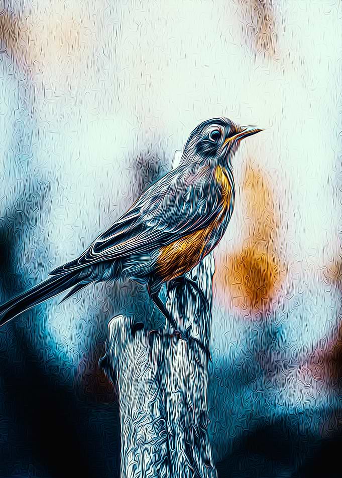Bird