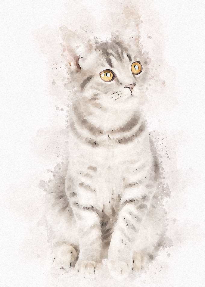 Cute Cat Watercolor