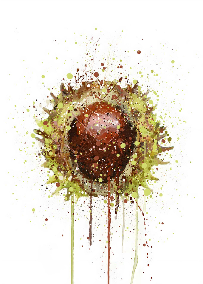Conker