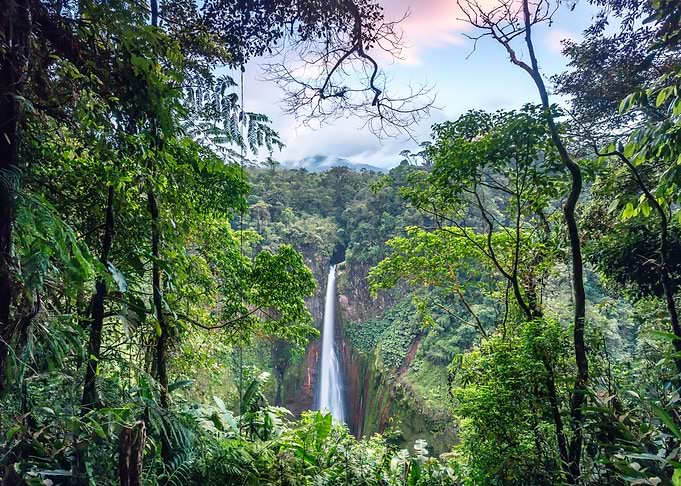 Rainforest and waterfall