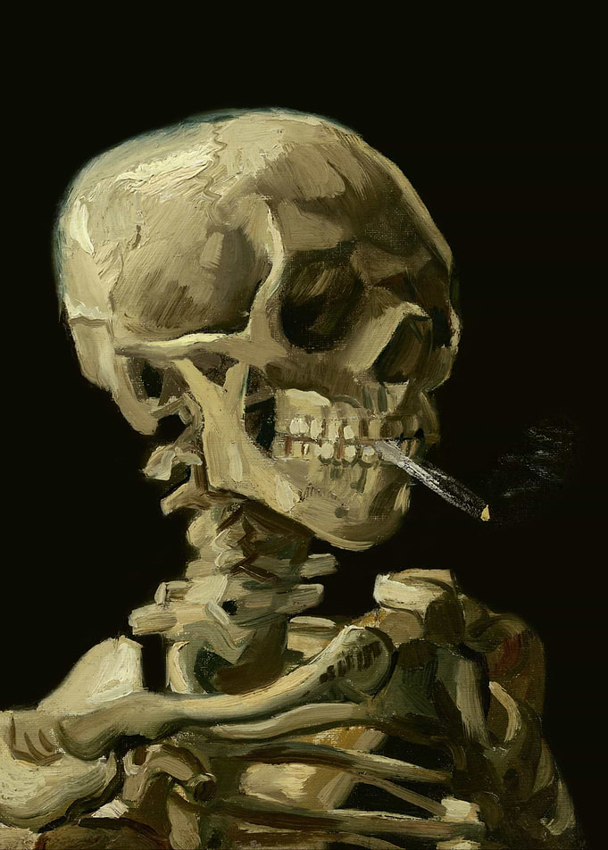 Skull of a Skeleton