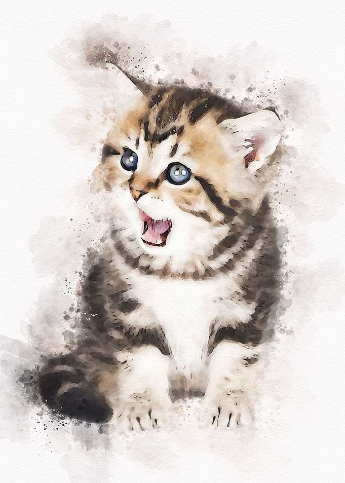 Cute Cat Watercolor