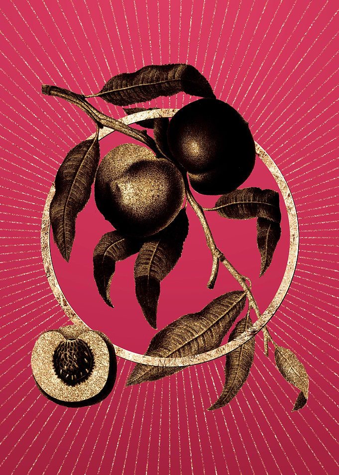 Walnut on Viva Magenta