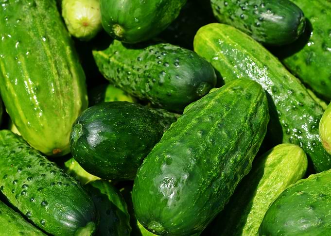 cucumbers