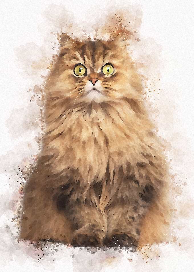 Cute Cat Watercolor