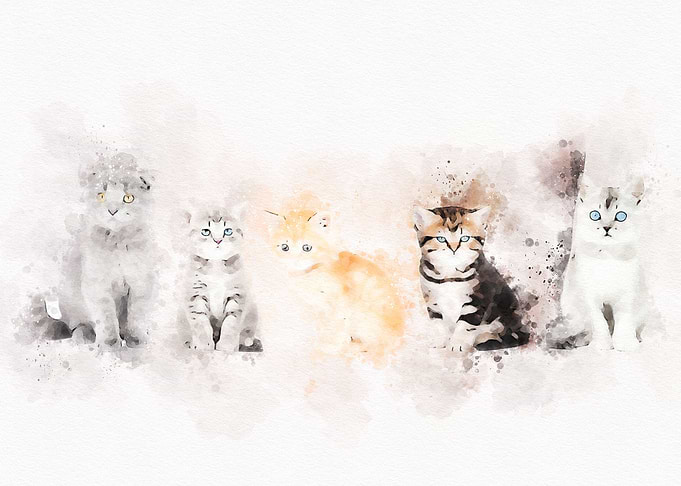 Cute Cat Watercolor