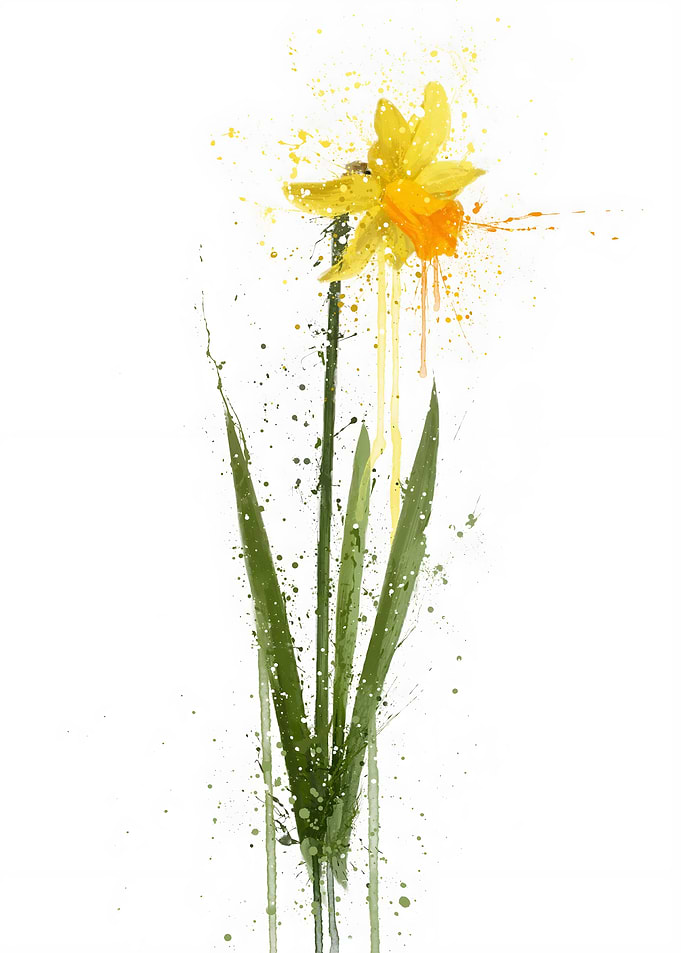Daffodil