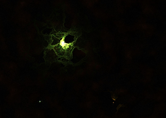 The Eye Supercluster