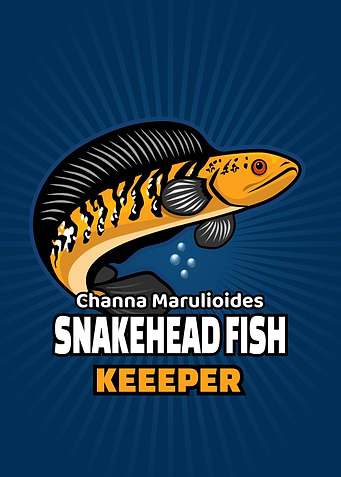 Channa Maruliolides