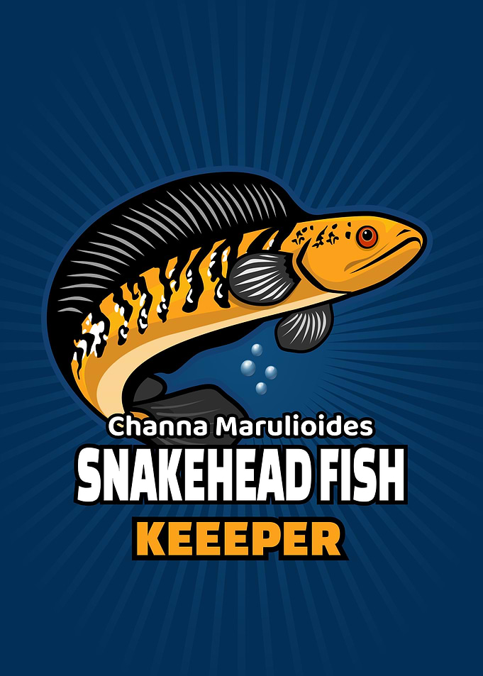 Channa Maruliolides