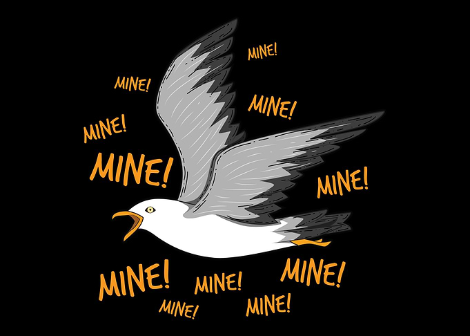Funny Gull Seagull Design