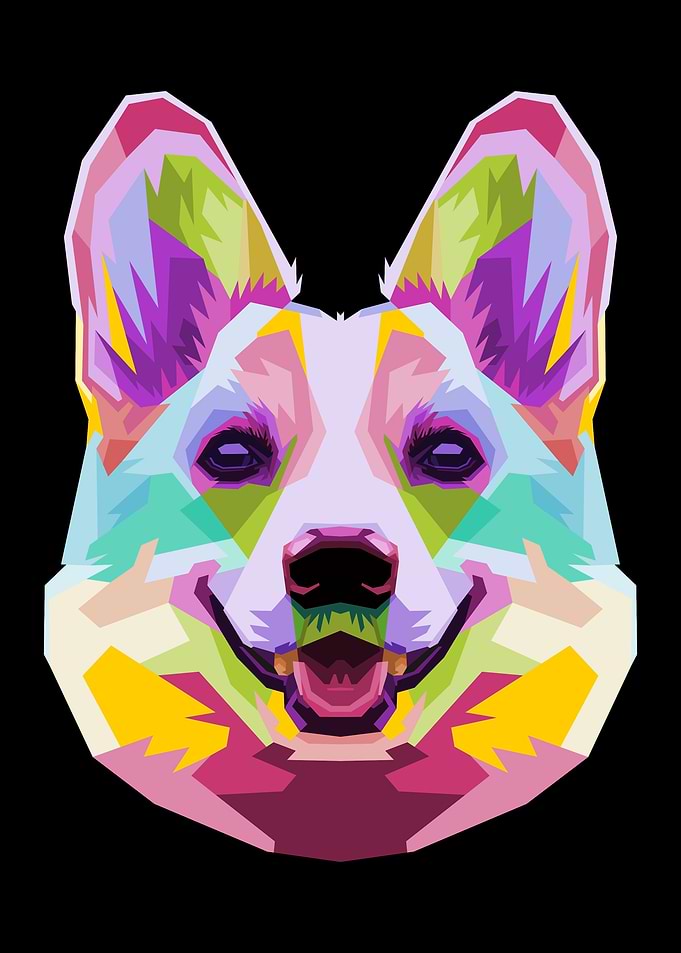 Colorful corgi dog