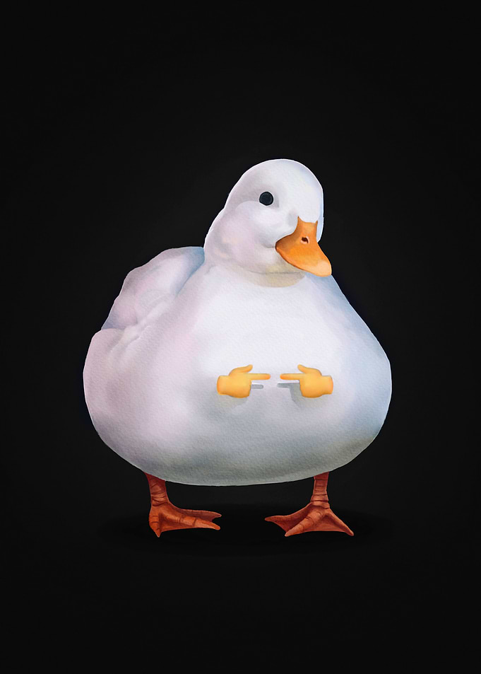 Cute Duck Meme