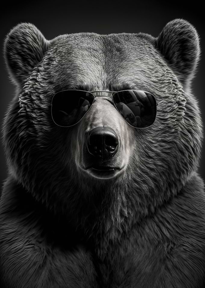 Portrait of a Bear
