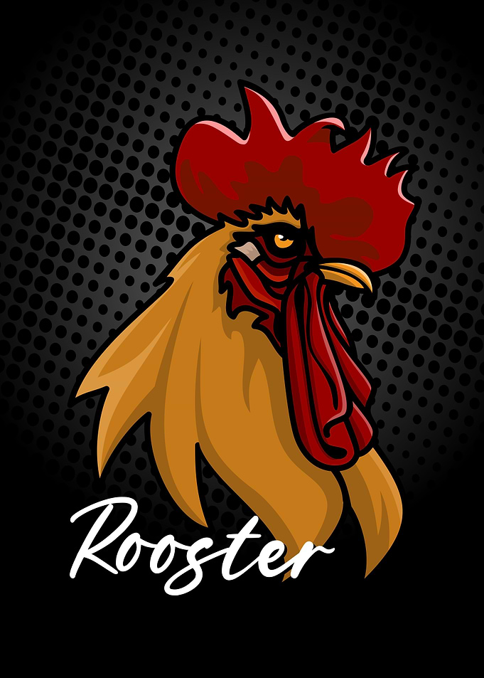 ROOSTER