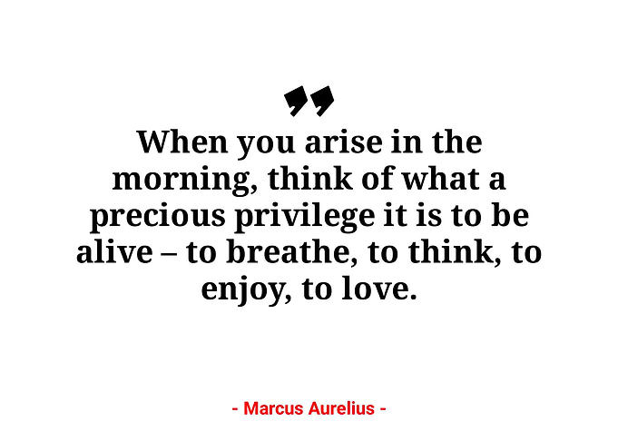 Marcus Aurelius quotes