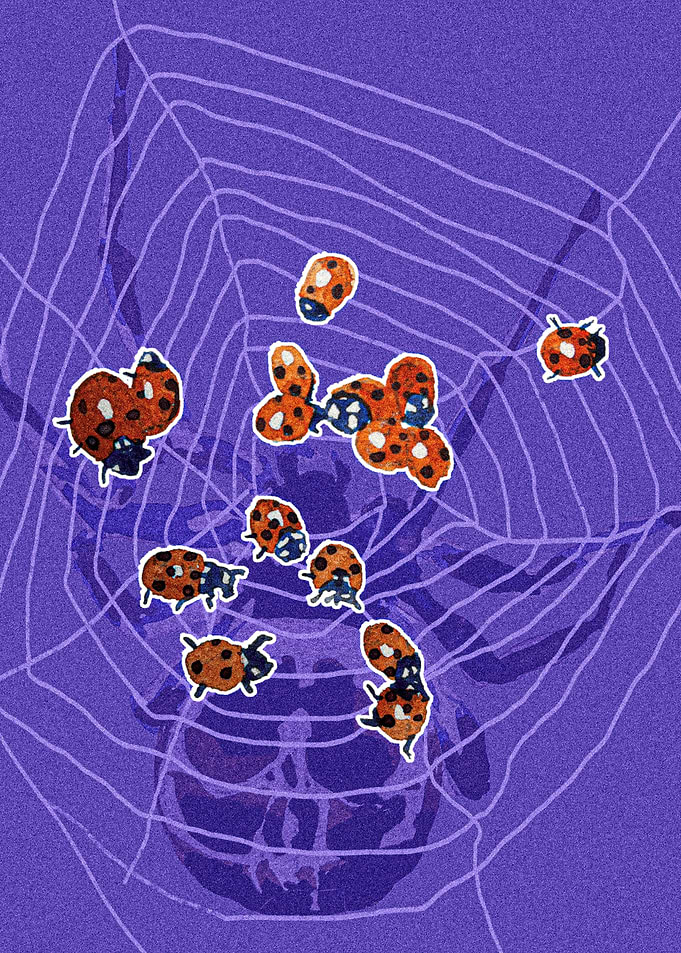 Spider Hostage