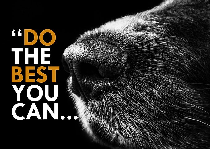 Do the best you can