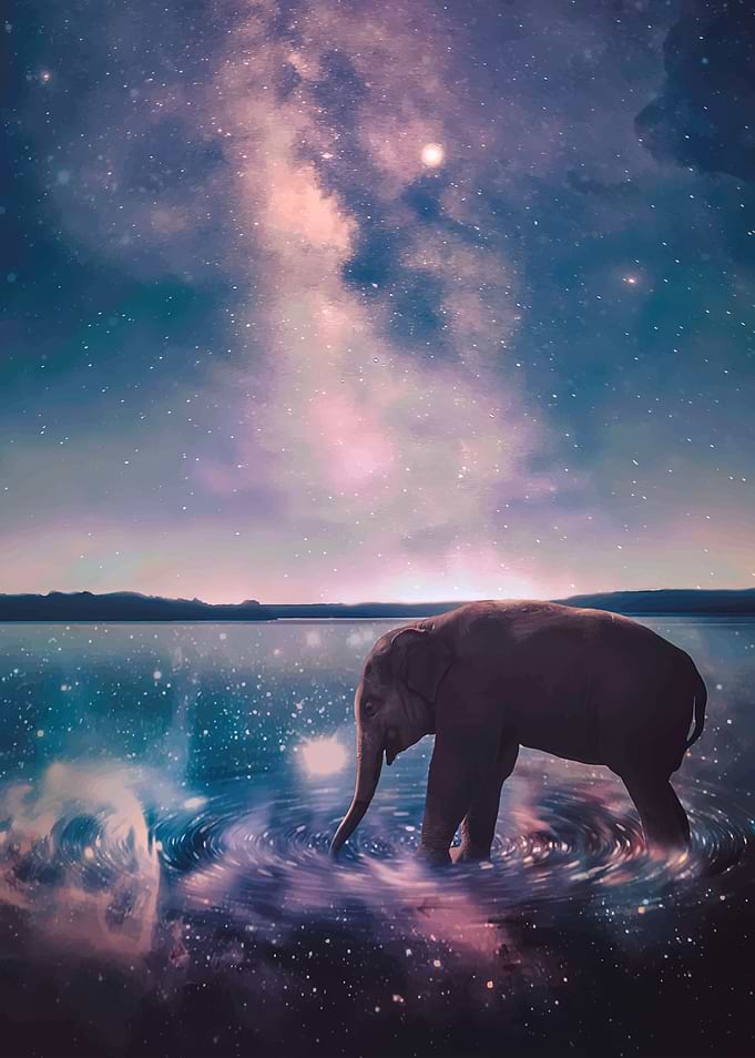 elephant illusion