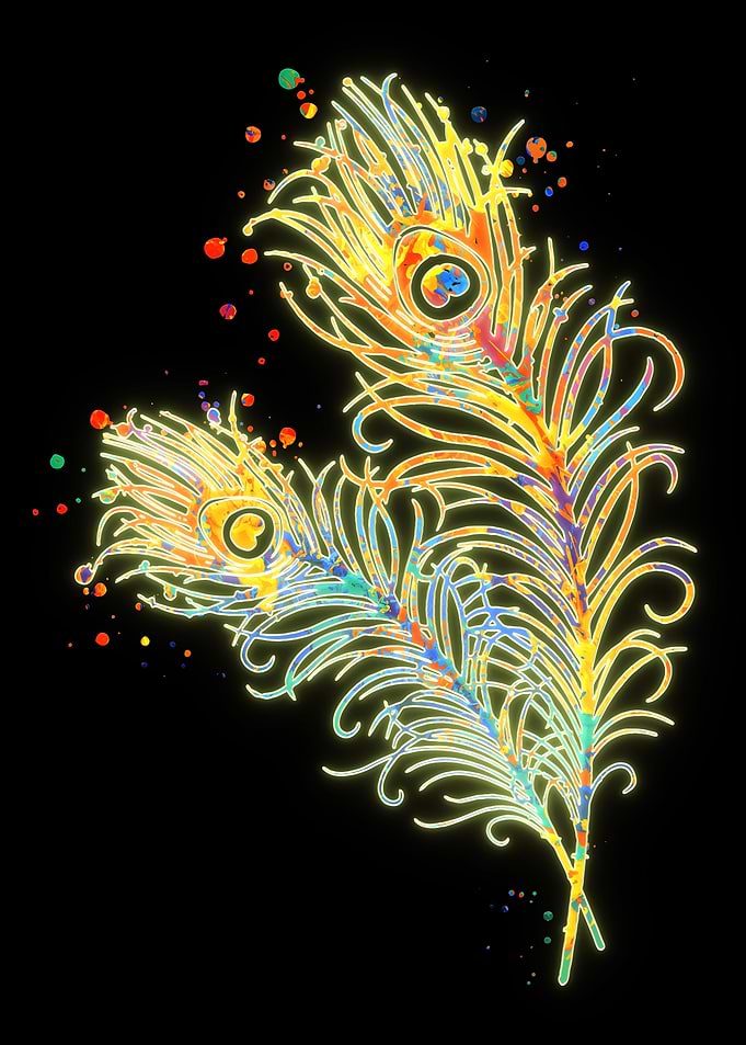 Peacock Feather