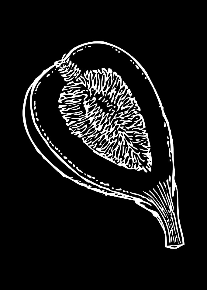 fig