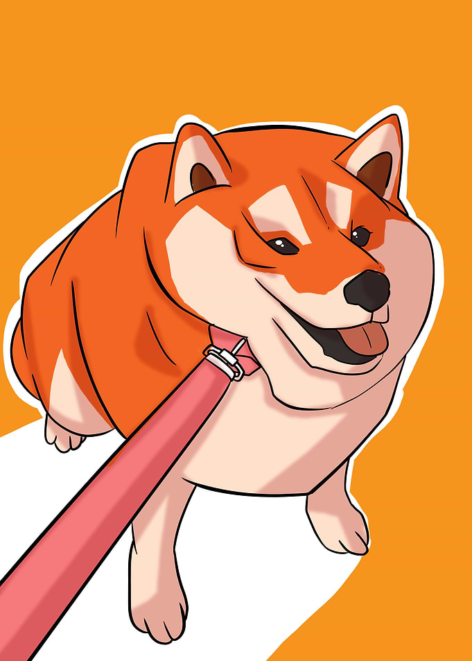 fat doge