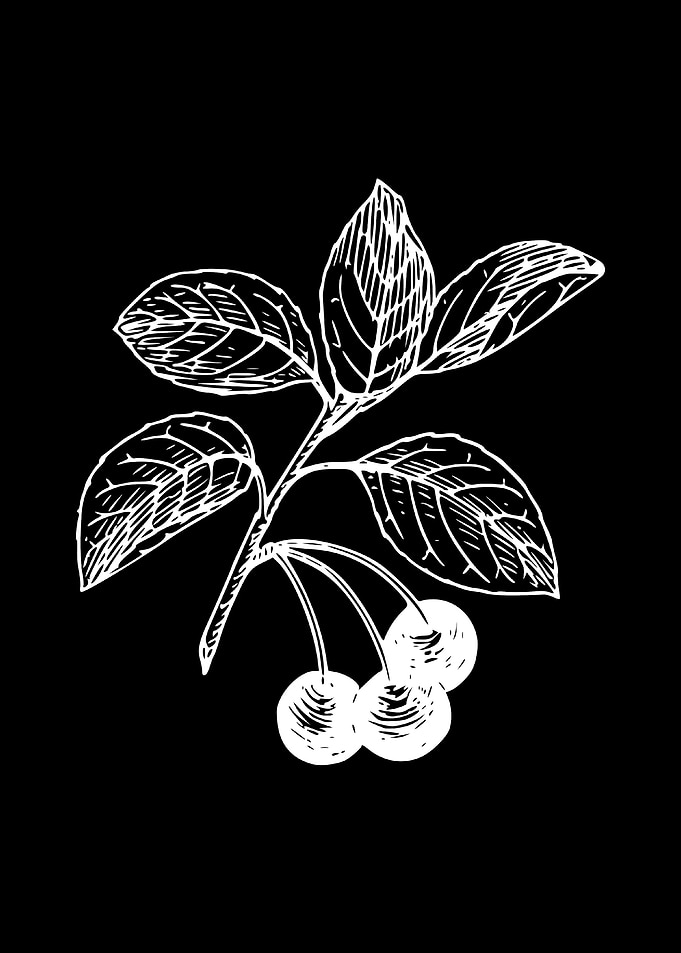 cherries