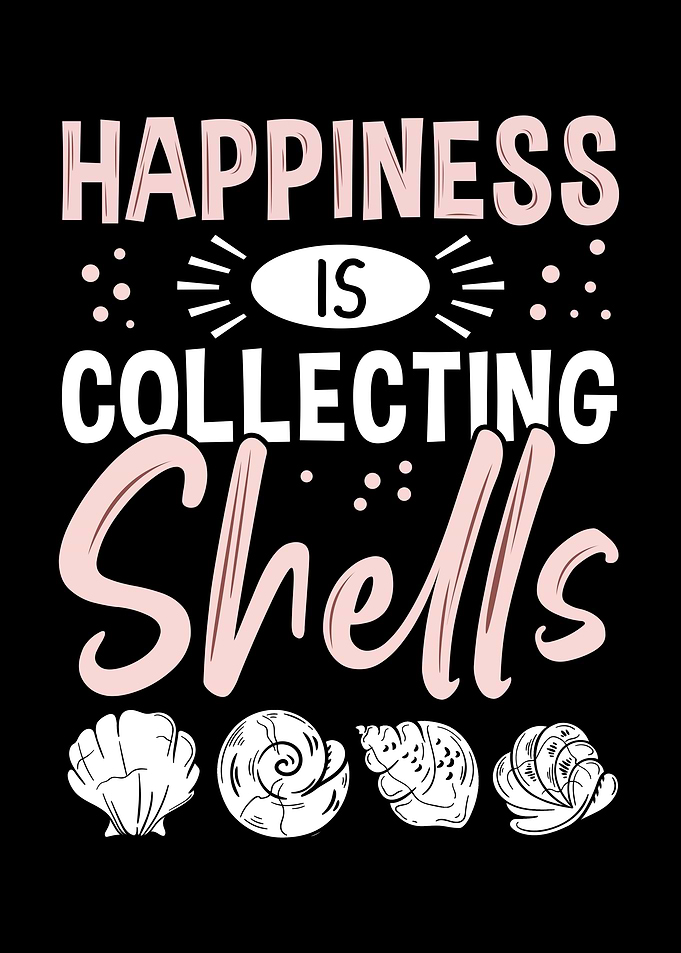 Beachcombing Seashell