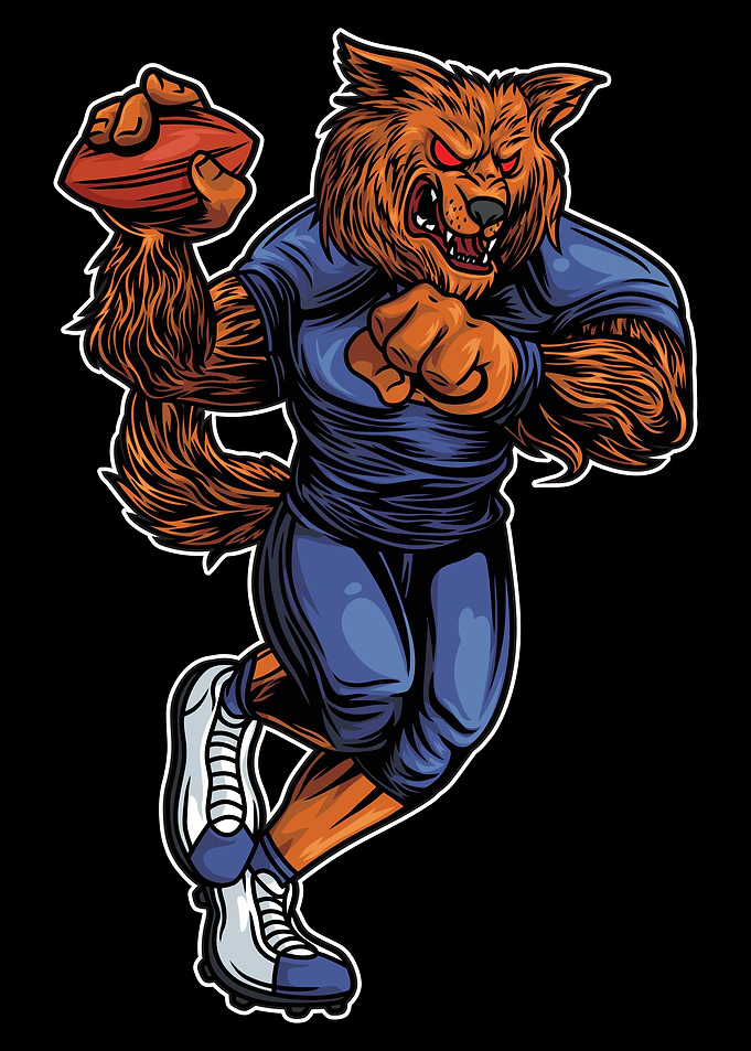 Fox American Football