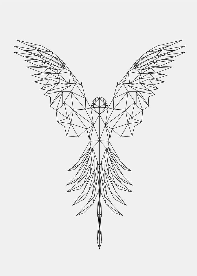Bird Lowpoly