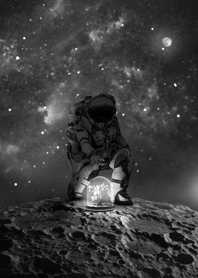 Life on the Moon Bw