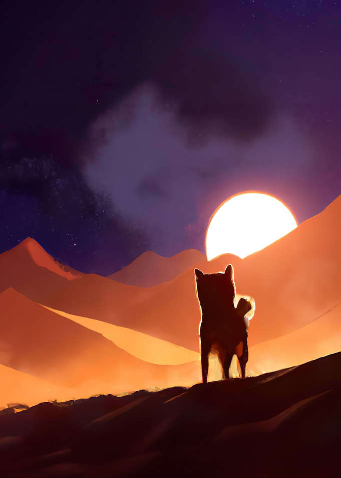 Beyond the Sunset