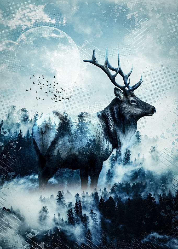 Forest Deer