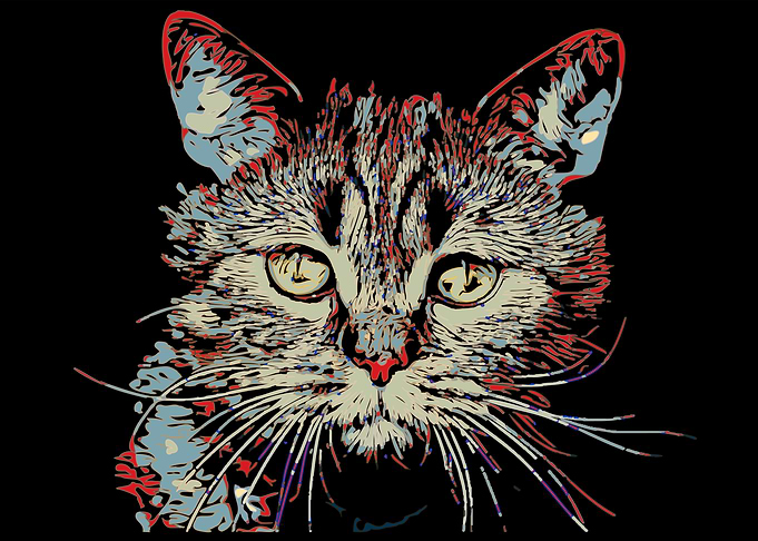 colorful sketch cat
