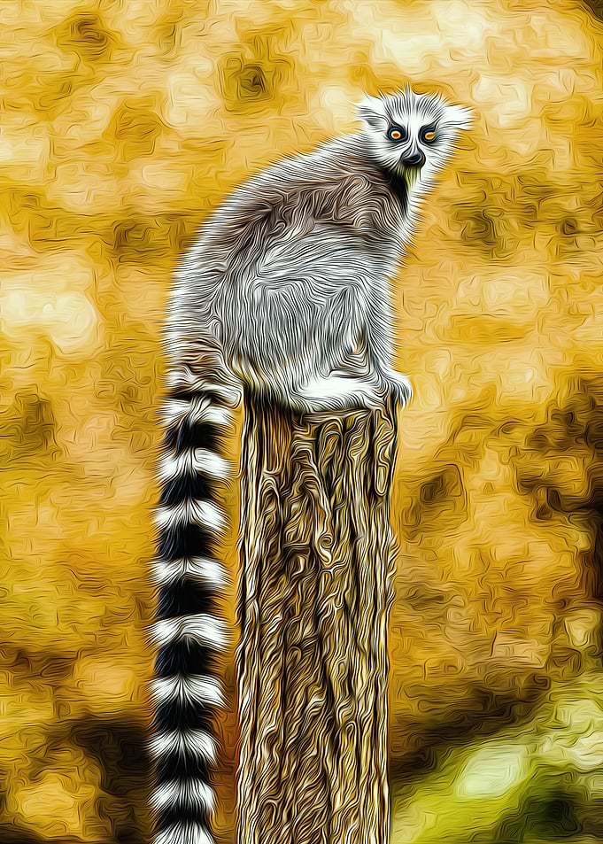Lemur