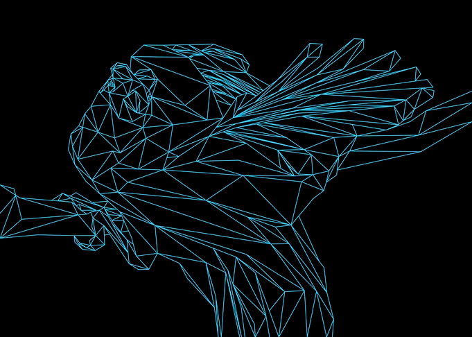 Bird of Paradise Line Art