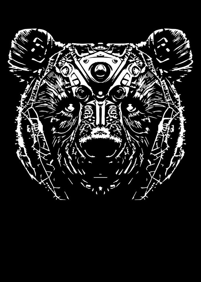 Soul of the wild Bear