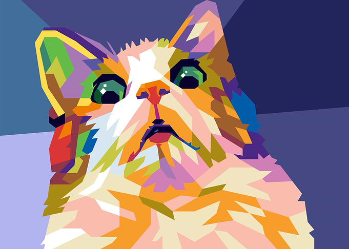 scared cat meme