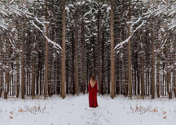 Snowy Forest and Women