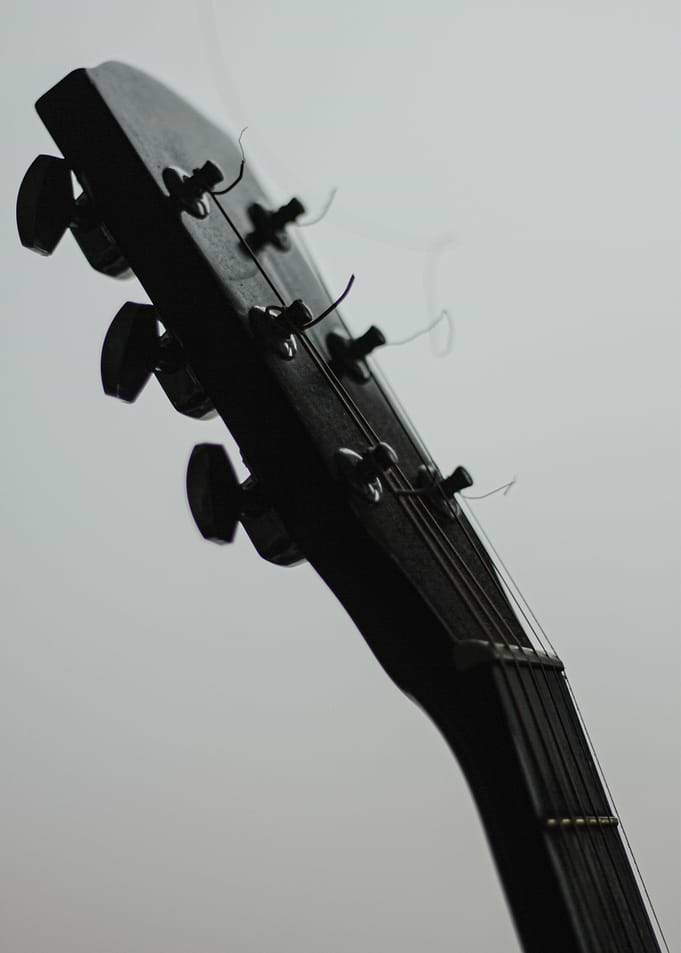 Guitar