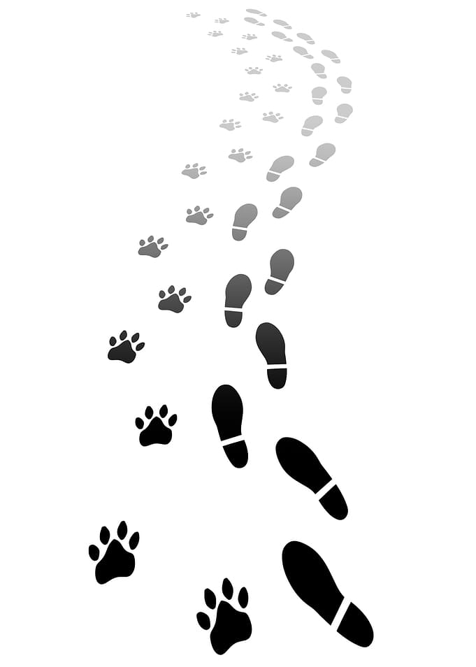 Footsteps path vertical 3D