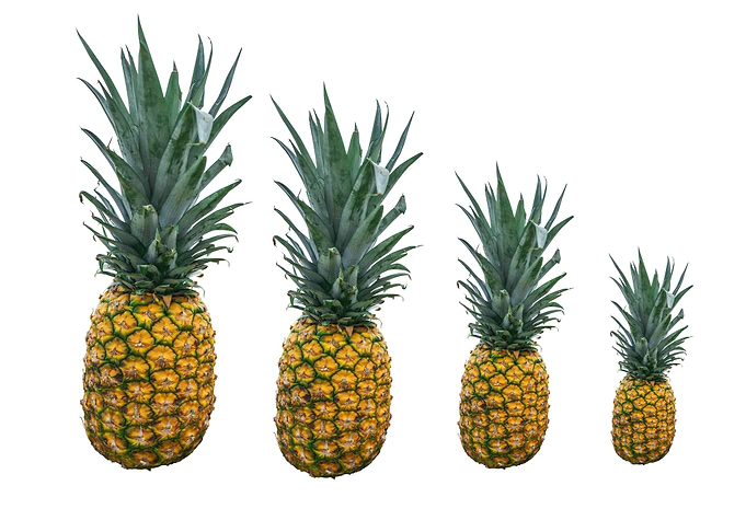 4 pineapple