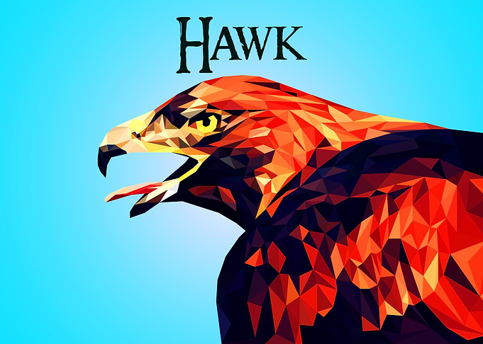 Hawk