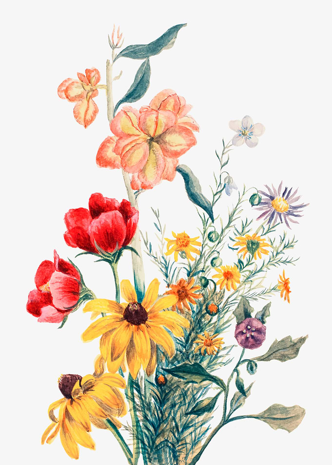 Group of Flowers