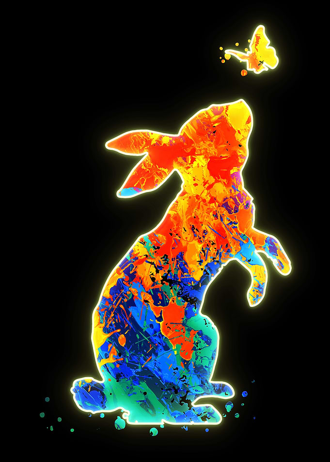 Rabbit