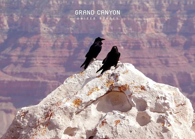 Grand Canyon